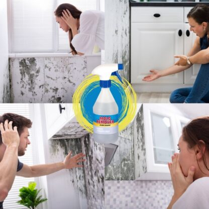 Спрей против мухъл Mold Remover