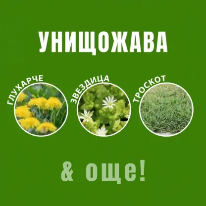 WeedX™ – 100 % натурален препарат срещу плевели