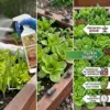 ByeSnail™ естествен репелент против охлюви и плужеци (500 ml)-middle