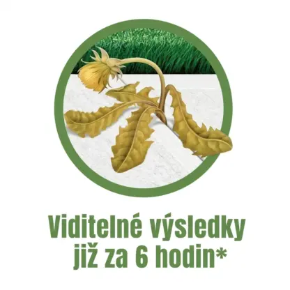 WeedX™ – 100 % přírodní prostředek proti plevelu