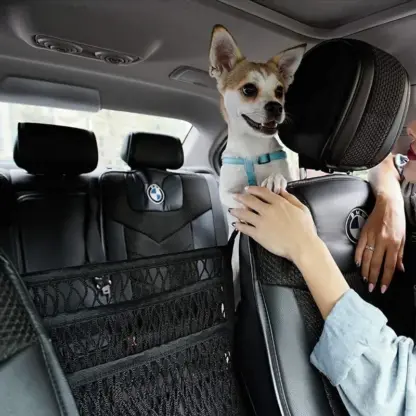 CargoNet™ flexibilní organizér síť na zadní sedadlo auta