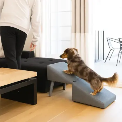 PawStep™ 2 v 1 taburet a rampa pro psy