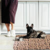 Pinkelmatte für Hunde PiPad