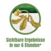 WeedX™ – 100 % natürliches Mittel gegen Unkraut
