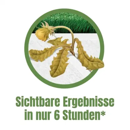 WeedX™ – 100 % natürliches Mittel gegen Unkraut