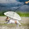 PawBrella™ verstellbarer Hundeleinen-Regenschirm