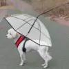 PawBrella™ verstellbarer Hundeleinen-Regenschirm
