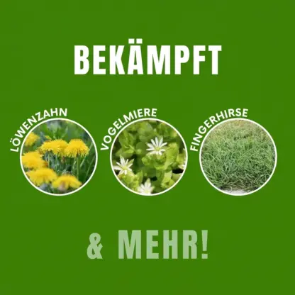 WeedX™ – 100 % natürliches Mittel gegen Unkraut