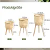 RattanBloom™ 3-teiliges stehendes Blumentopf-Set-middle