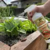 ByeSnail™ looduslik tigude ja nälkjate tõrjevahend (500 ml)