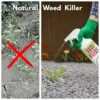 AntiWeeds – Inibitore naturale al 100 % della crescita delle erbacce