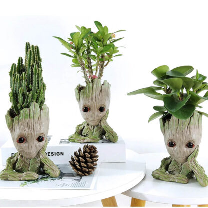 Carino vaso per piante Grooty