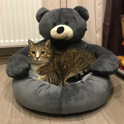 Cuccia per gatti e cani Beartondo