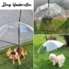 PawBrella™ ombrello per guinzaglio regolabile per cani