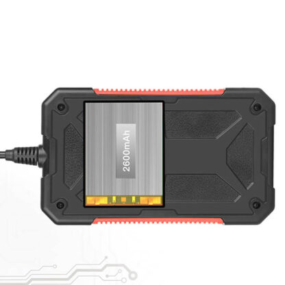 Telecamera endoscopica professionale QuickPeek