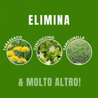 WeedX™ – Inibitore naturale al 100 % della crescita delle erbacce