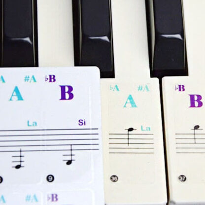 Etichette per la tastiera PianoCoach-middle