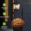 BloomLamp™ γλάστρα με ηλιακό φακό