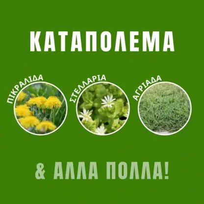 WeedX™ – 100 % φυσικό προϊόν κατά των ζιζανίων