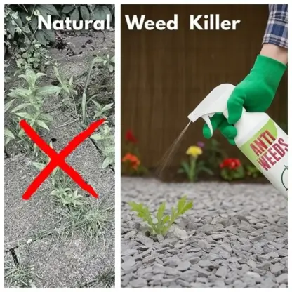 AntiWeeds – 100% prirodni inhibitor rasta korova