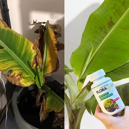 Gnojivo za biljke Floravita-middle