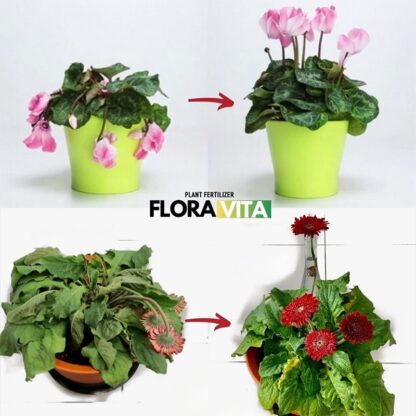 Növénytáp Floravita