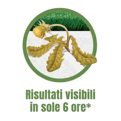 WeedX™ – Inibitore naturale al 100 % della crescita delle erbacce