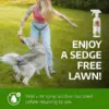 AntiWeeds – Inibitore naturale al 100 % della crescita delle erbacce
