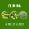 WeedX™ – Inibitore naturale al 100 % della crescita delle erbacce