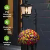 BloomLamp™ gėlių vazonas su saulės lempa