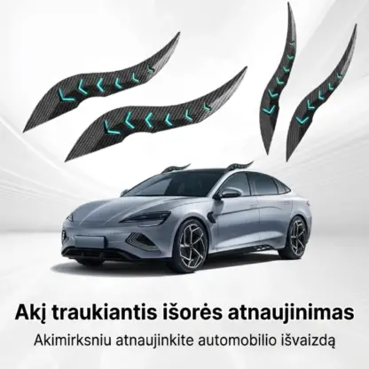 DragonFang™ automobilio stogo drakono ragai (2 vnt.)