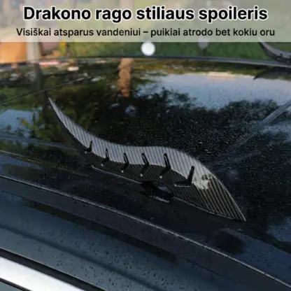DragonFang™ automobilio stogo drakono ragai (2 vnt.)