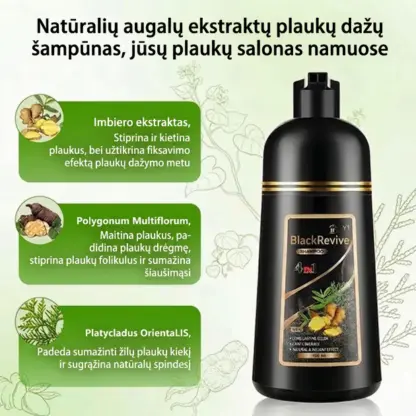 BlackRevive™ juodos spalvos plaukų dažomasis šampūnas