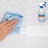 Purškalas nuo pelėsio Mold Remover