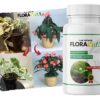 Augu mēslojums Floravita