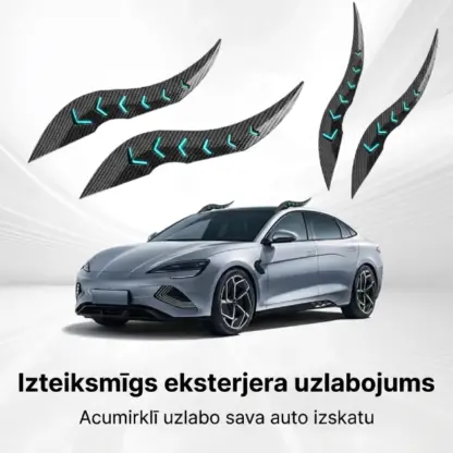 DragonFang™ automašīnas jumta pūķa ragi (2 gab.)