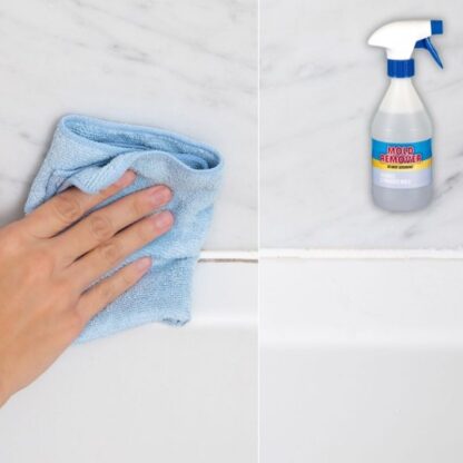 Pelējuma novēršanas aerosols Mold Remover