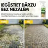 WeedX™ – 100% dabīgs nezāļu augšanas inhibitori