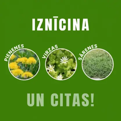 WeedX™ – 100% dabīgs nezāļu augšanas inhibitori