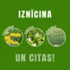 WeedX™ – 100% dabīgs nezāļu augšanas inhibitori-middle