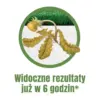 WeedX™ – 100 % naturalny środek przeciw chwastom