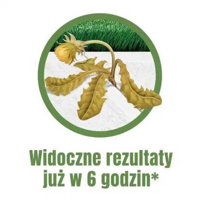 WeedX™ – 100 % naturalny środek przeciw chwastom