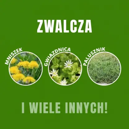 WeedX™ – 100 % naturalny środek przeciw chwastom