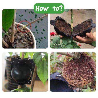 Sfere pentru înmulțirea plantelor GrowBall