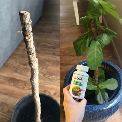 Îngrășământ pentru plante Floravita-middle