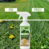 WeedX™ – 100% prirodni proizvod za suzbijanje korova
