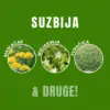 WeedX™ – 100% prirodni proizvod za suzbijanje korova-middle