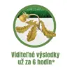 WeedX™ – 100 % prírodný prostriedok proti burine